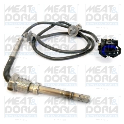 Sensor, exhaust gas temperature